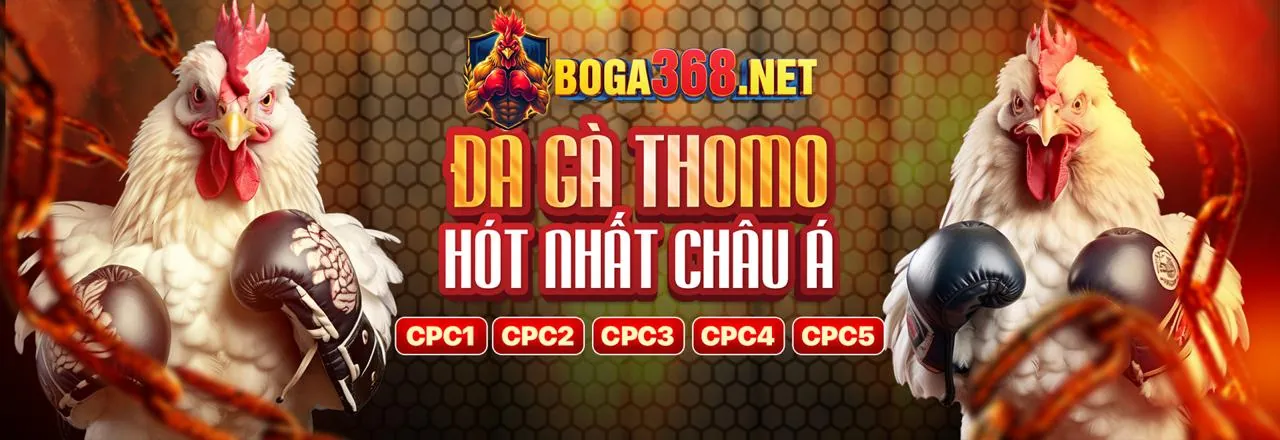 Các loại Cookie hi88bet trang chủ chính thức sử dụng