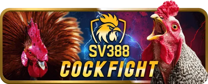 Hoàn trả hấp dẫn hi88bet